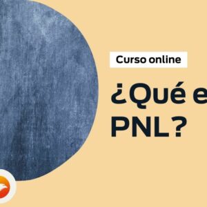 ¿Qué es PNL?