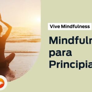 Mindfulness para principiantes